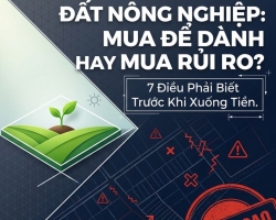 Có Nên Mua Đất Nông Nghiệp Để Dành? 7 Điều Phải Biết Trước Khi Xuống Tiền