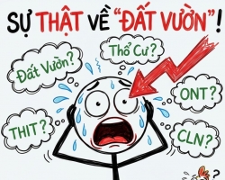 CÁCH PHÂN BIỆT ĐẤT Ở, ĐẤT VƯỜN VÀ ĐẤT NÔNG NGHIỆP TRÊN SỔ ĐỎ