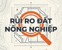MUA ĐẤT ĐỒNG NAI: ĐÁNH GIÁ RỦI RO KHI ĐẦU TƯ ĐẤT NÔNG NGHIỆP & CÁCH PHÒNG TRÁNH