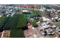 4 NỀN LIỀN KỀ FULL THỔ CƯ SÁT KCN GIANG ĐIỀN, GIÁ CHỈ 1,3 TỶ/NỀN
